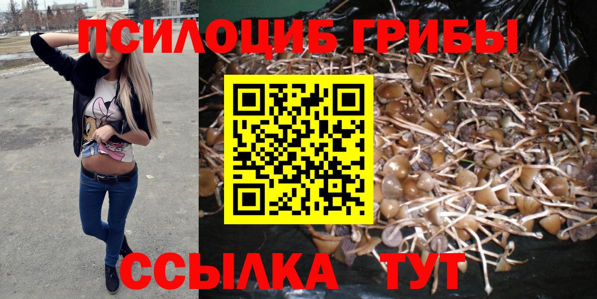 Псилоцибиновые грибы Magic Shrooms Клинцы